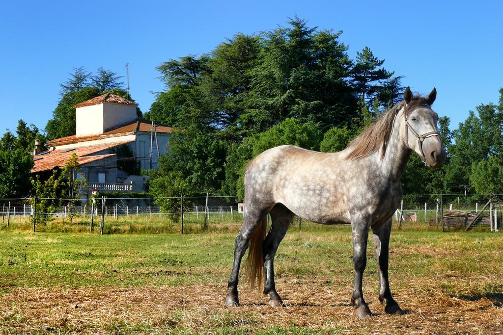 Domaine De Majastre Bed and Breakfast Bauduen Εξωτερικό φωτογραφία